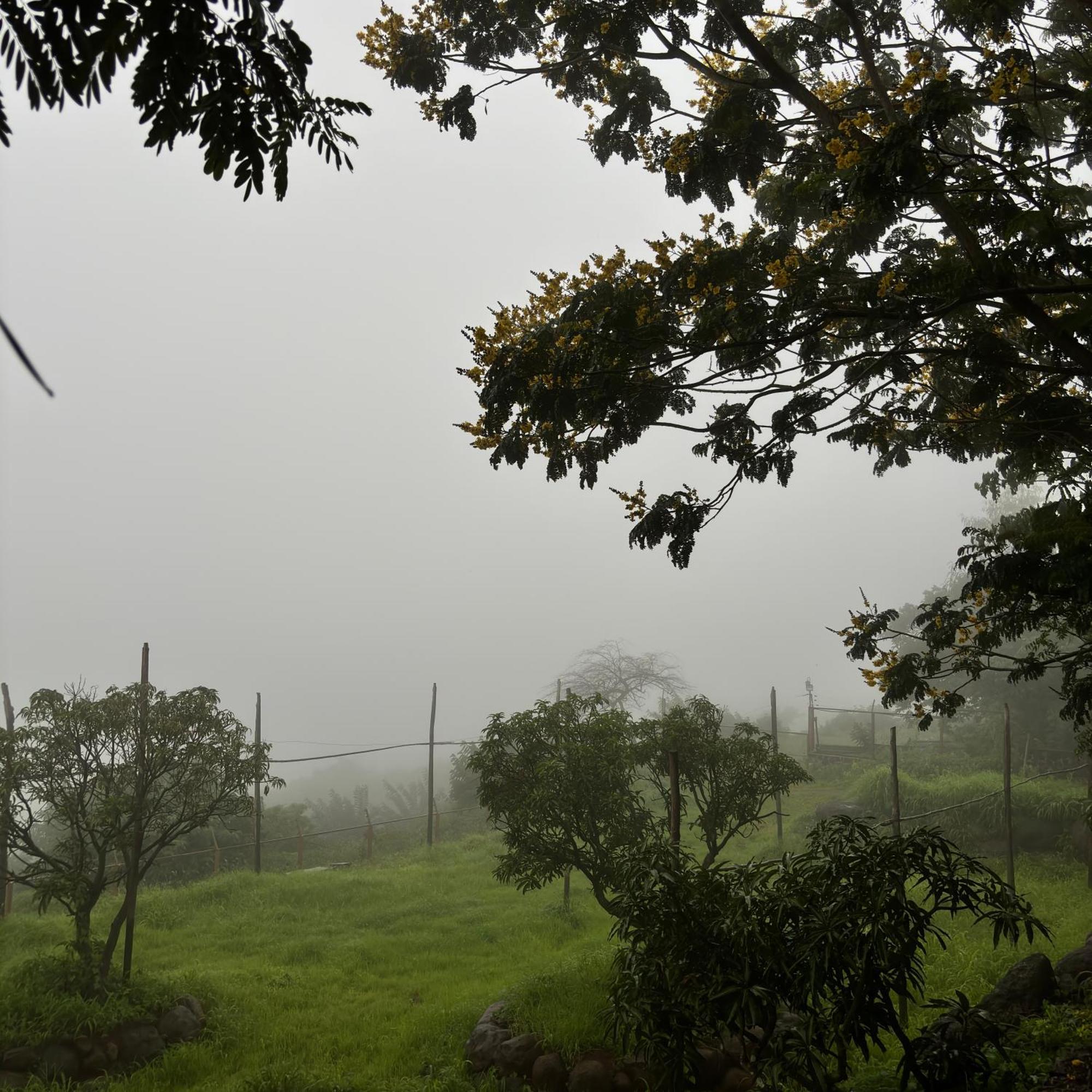 Nisarg Resort Kolhapur Luaran gambar